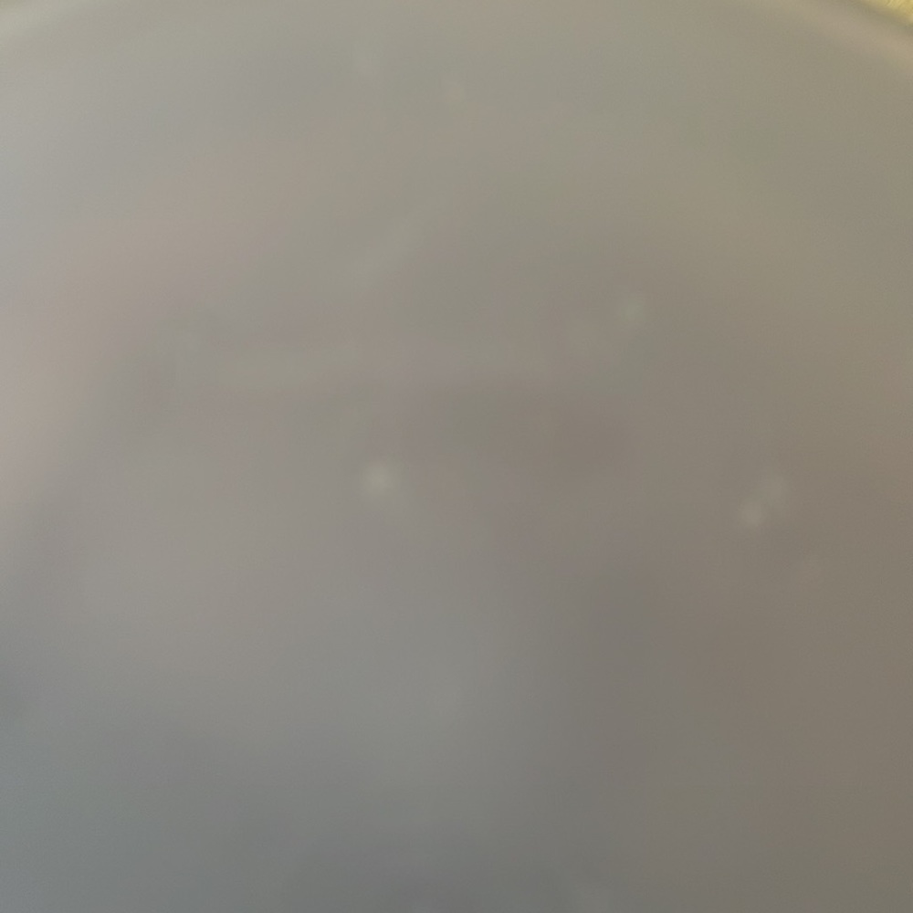 Tupperware - Picture 8 of 8